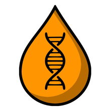 Logo Projekt Embedded Pilot